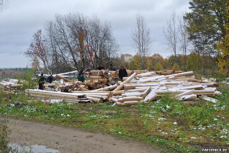 Сборка сруба церкви Св. Матроны Московской. 1 октября 2013 года